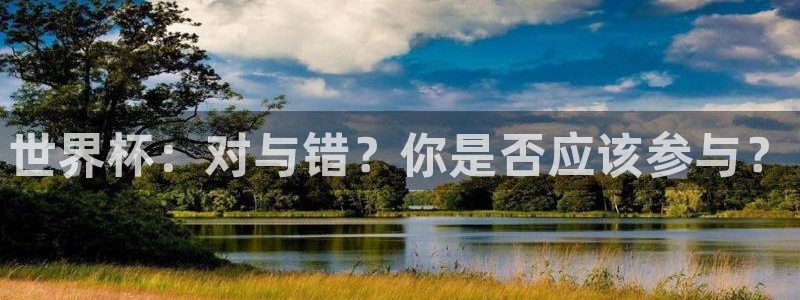 2026世界杯赛制：世界杯：对与错？你是否应该参与？