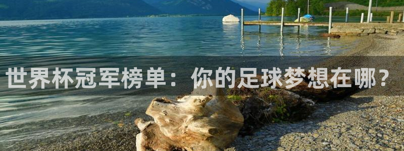 2026世界杯官网入口：世界杯冠军榜单：你的足球梦想在哪？