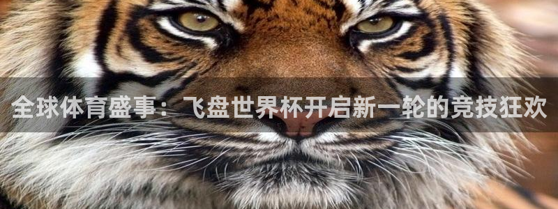 世预赛免费直播入口：全球体育盛事：飞盘世界杯开启新一轮的竞技狂欢