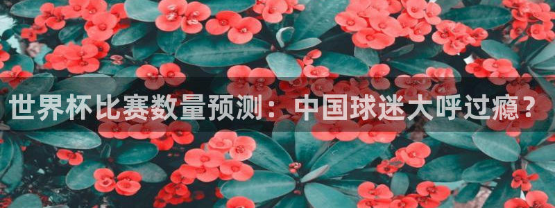 世界杯赛程表2026：世界杯比赛数量预测：中国球迷大呼过瘾？