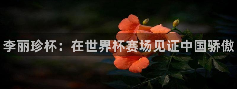 2006世界杯：李丽珍杯：在世界杯赛场见证中国骄傲