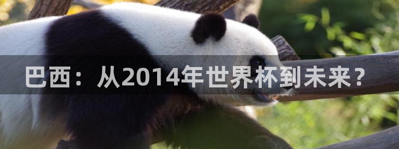澳门世界杯直播：巴西：从2014年世界杯到未来？