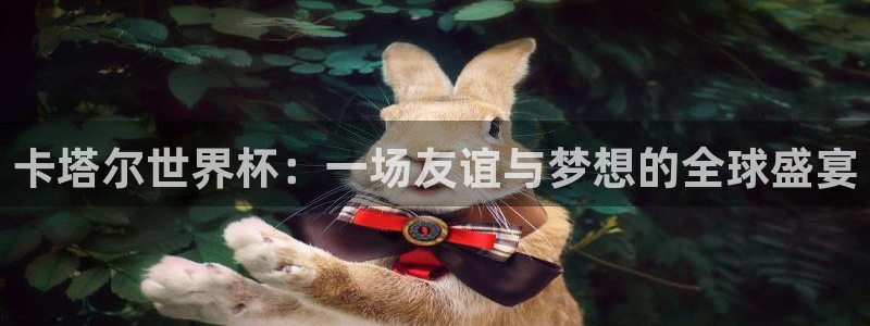 世界杯球赛：卡塔尔世界杯：一场友谊与梦想的全球盛宴