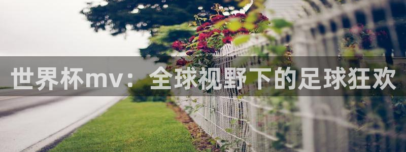 世界直播：世界杯mv：全球视野下的足球狂欢
