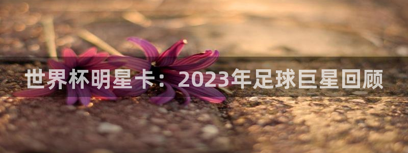 足球比分直播世界杯：世界杯明星卡：2023年足球巨星回顾