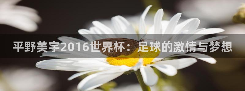 世界杯直播在线观看入口：平野美宇2016世界杯：足球的激情与梦想
