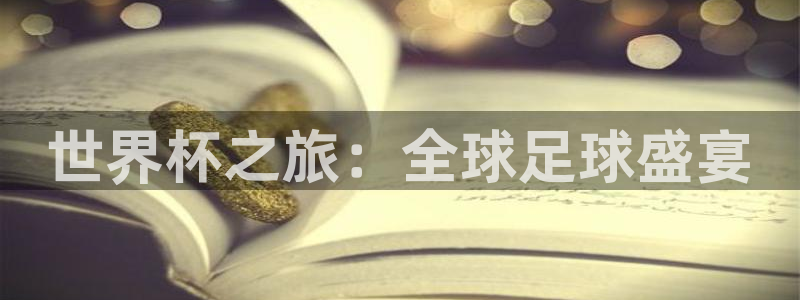 世界杯对阵表：世界杯之旅：全球足球盛宴